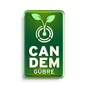 Candem